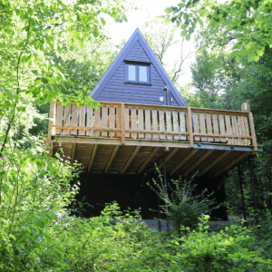 Achterkant Birdie Forest Lodge