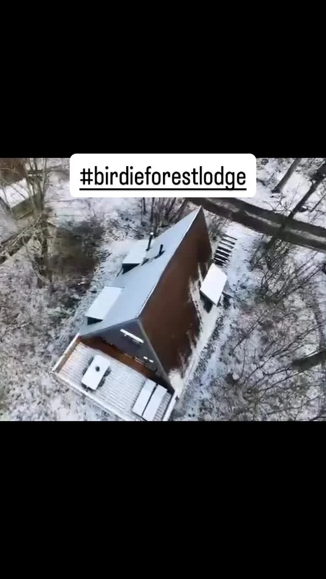 Instagram post from birdie.forest.lodge.durbuy. This post is in position 0.